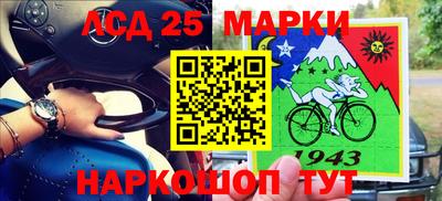 индика Нальчик