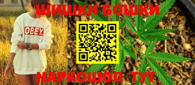 индика Нальчик