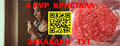 индика Нальчик