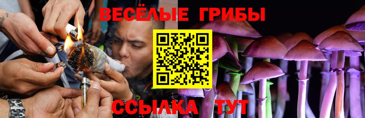 Псилоцибиновые грибы мицелий  Вход с VPN  Урус-Мартан  Галлюциногенные грибы прущие грибы 