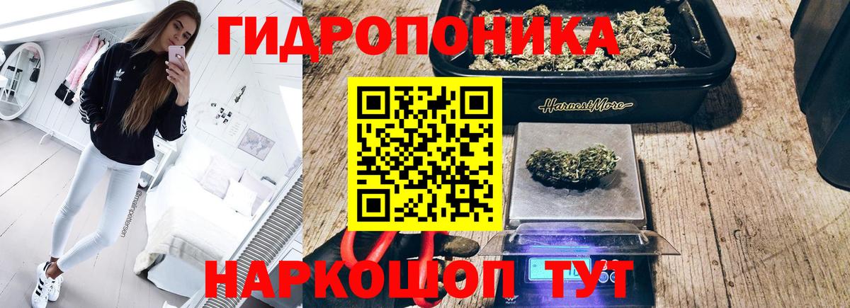 Канабис план Урус-Мартан